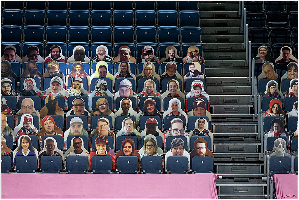 PENNY DEL;  Koelner Haie - Fischtown Pinguins Bremerhaven; Koeln, 12.02.2021